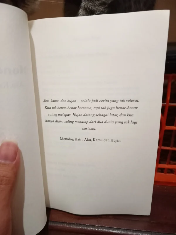 Monolog Hati : Aku, Kamu dan Hujan - Gambar 4
